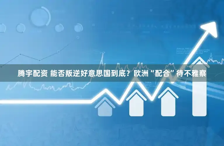 腾宇配资 能否叛逆好意思国到底？欧洲“配合”待不雅察