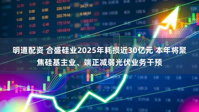 明道配资 合盛硅业2025年耗损近30亿元 本年将聚焦硅基主业、端正减弱光伏业务干预
